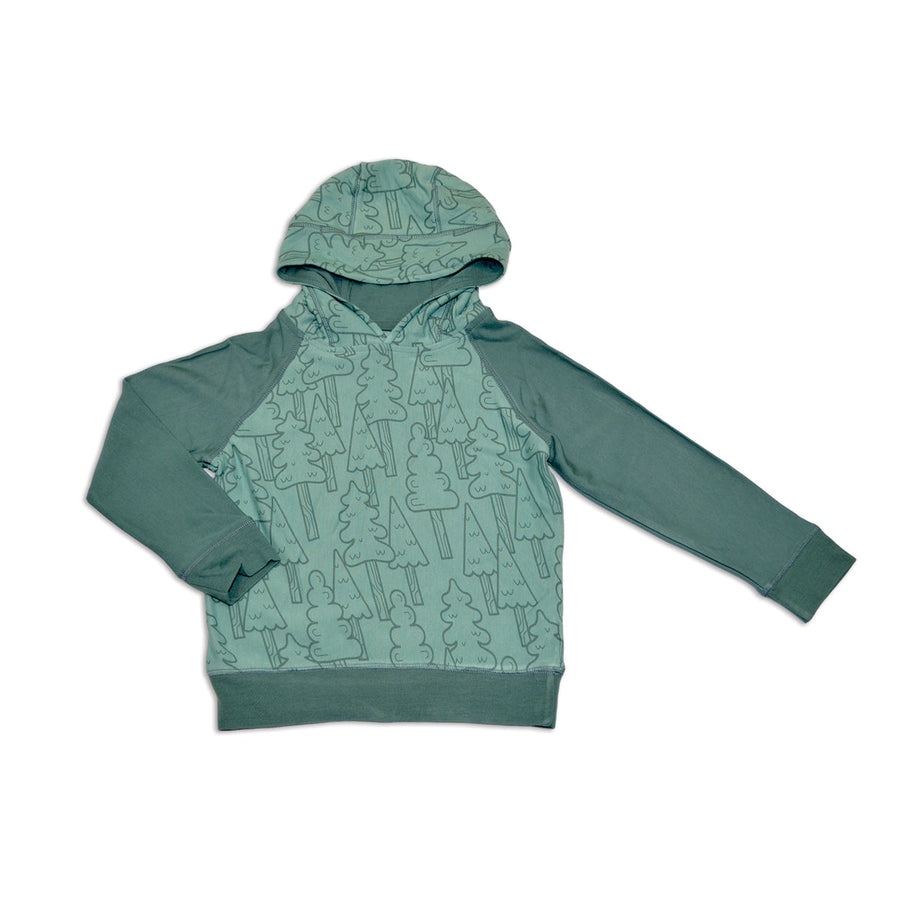 Boy's (2-6x) Bamboo Fleece Hoodie